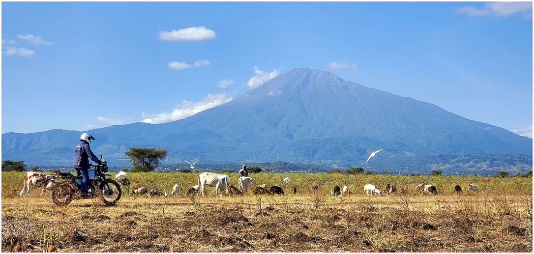 2022 07 Tanzanie 357 (2)